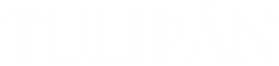 Tulipán